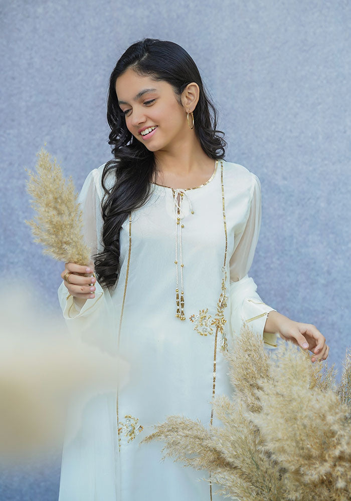 Chiffon Hand Work 3 Pc Suit - Wear Ochre