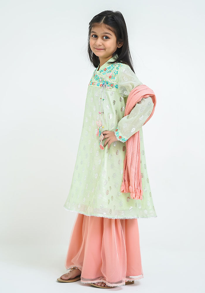 Paper Cotton Embroidered 3 Pc Suit - Wear Ochre