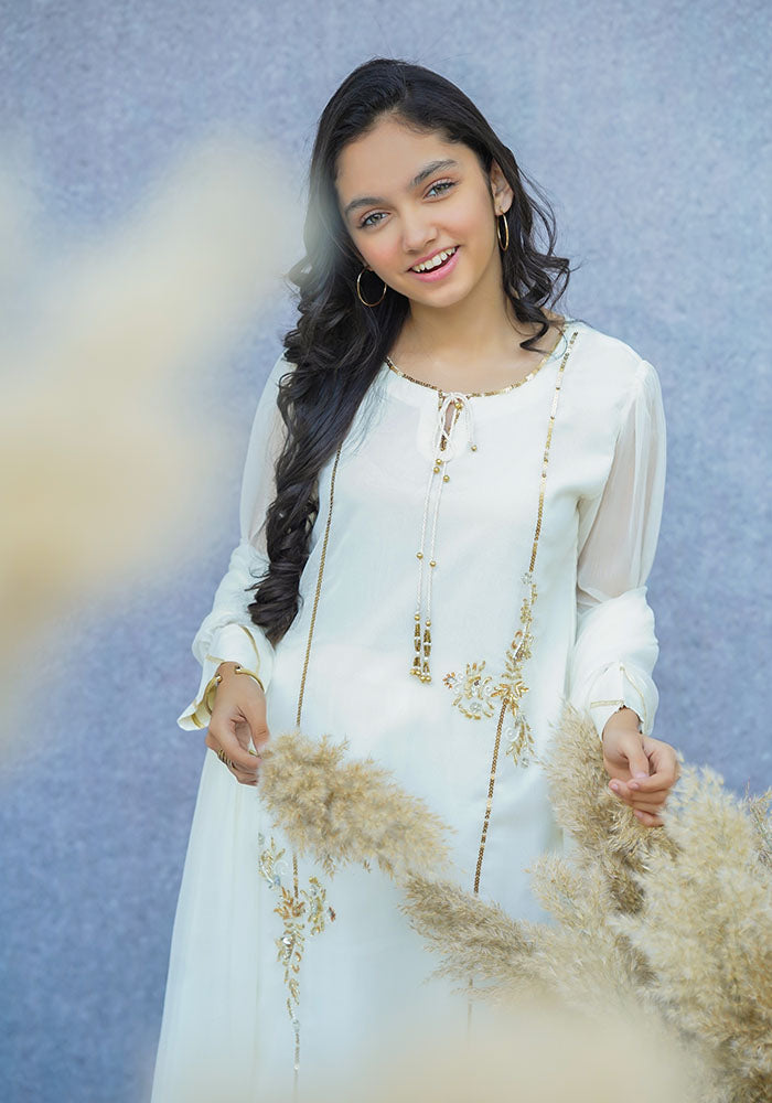 Chiffon Hand Work 3 Pc Suit - Wear Ochre