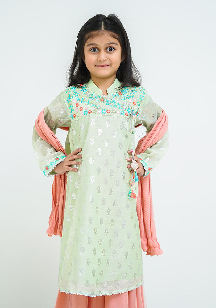Paper Cotton Embroidered 3 Pc Suit - Wear Ochre
