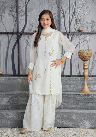 Chiffon Hand Work 3 Pc Suit