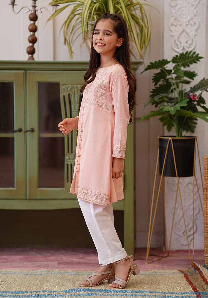 Chambray Cotton Embroidered 2 Pc Suit - Wear Ochre