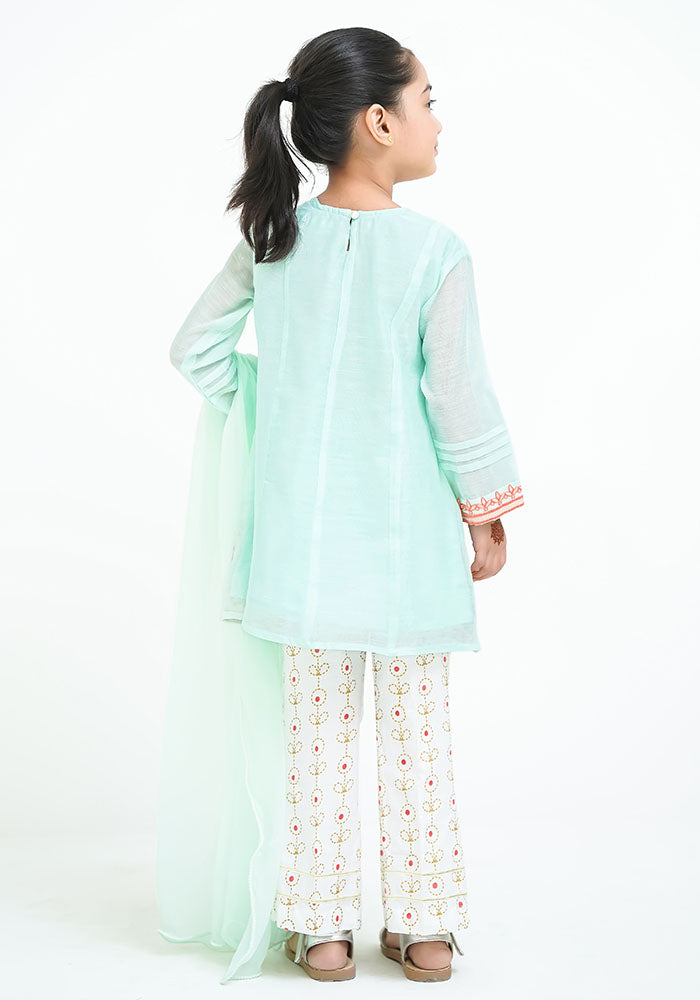 Paper Cotton Embroidered 3 Pc Suit - Wear Ochre