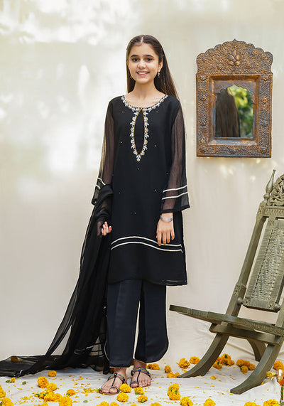 Chiffon Hand Work 3 Pc Suit