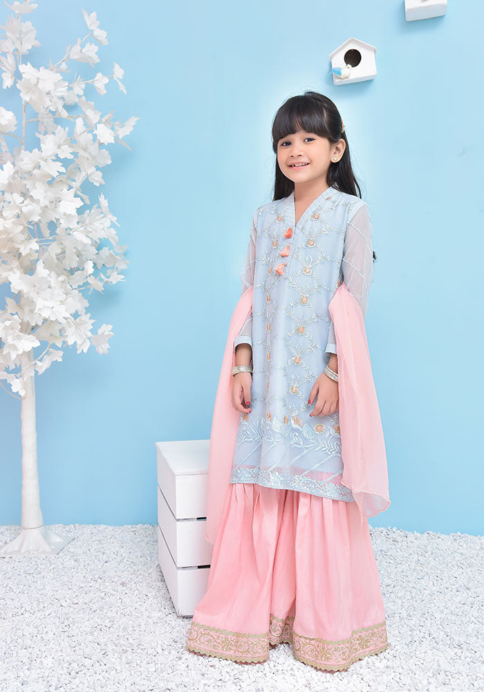 Chiffon Embroidered 3 Pc Suit - Wear Ochre
