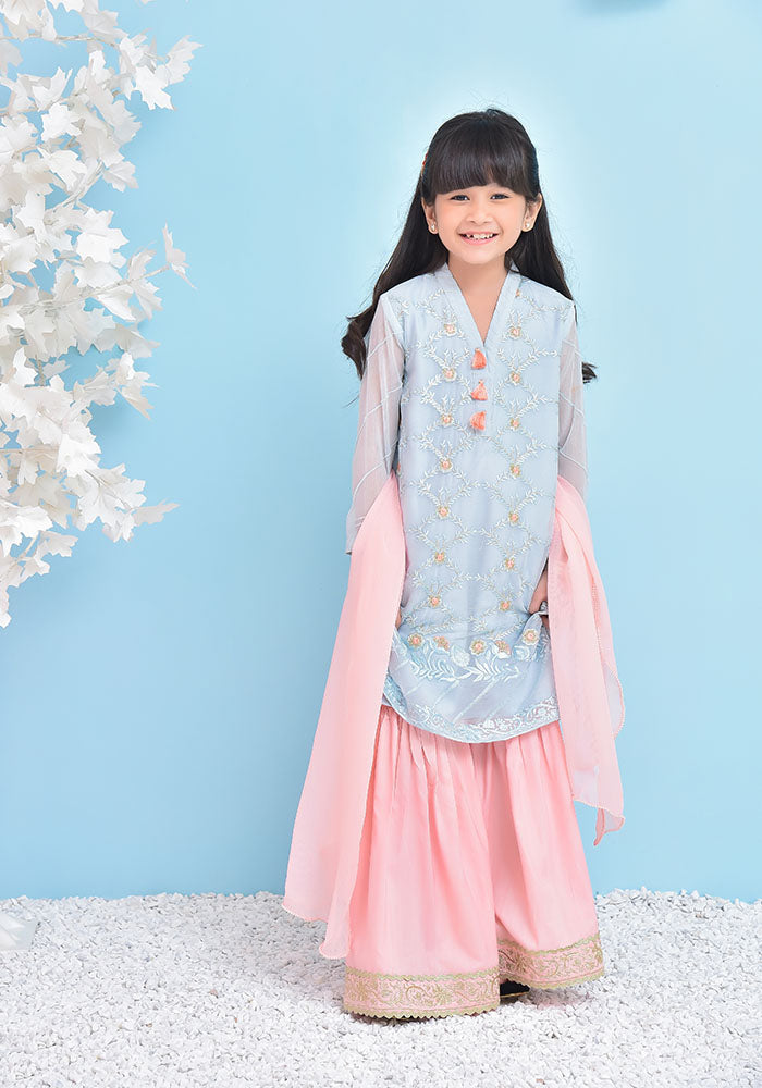 Chiffon Embroidered 3 Pc Suit - Wear Ochre
