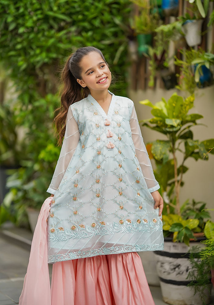Chiffon Embroidered 3 Pc Suit - Wear Ochre