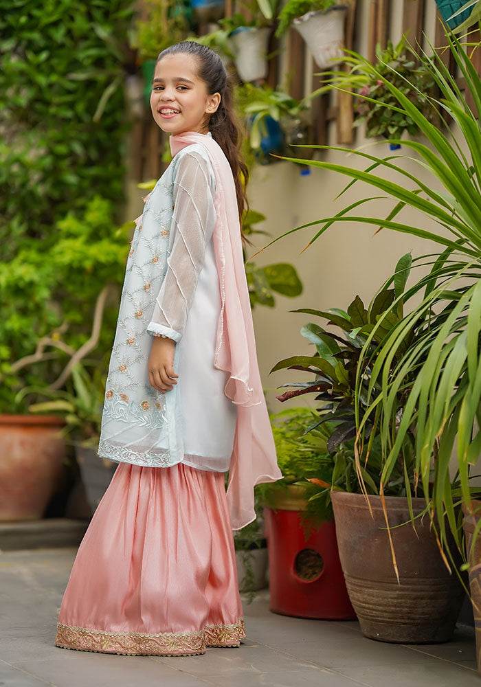 Chiffon Embroidered 3 Pc Suit - Wear Ochre