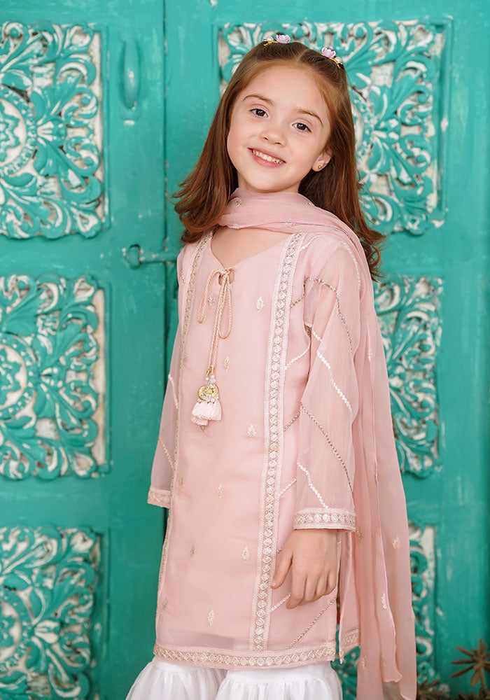 Chiffon Embroidered 3 Pc Suit - Wear Ochre