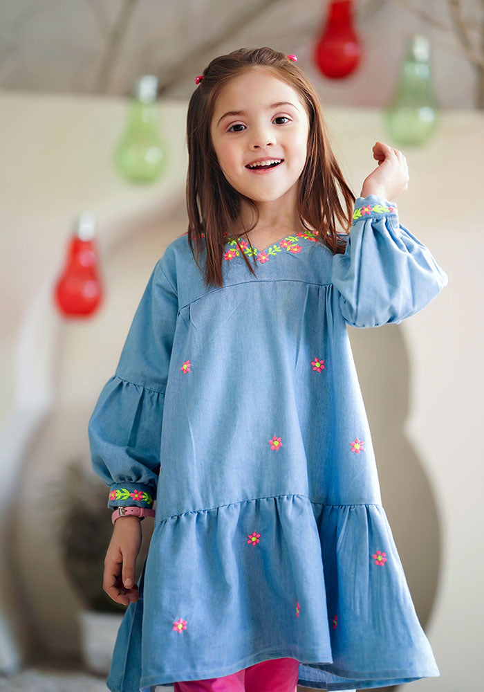 Denim Embroidered Kurta - Wear Ochre