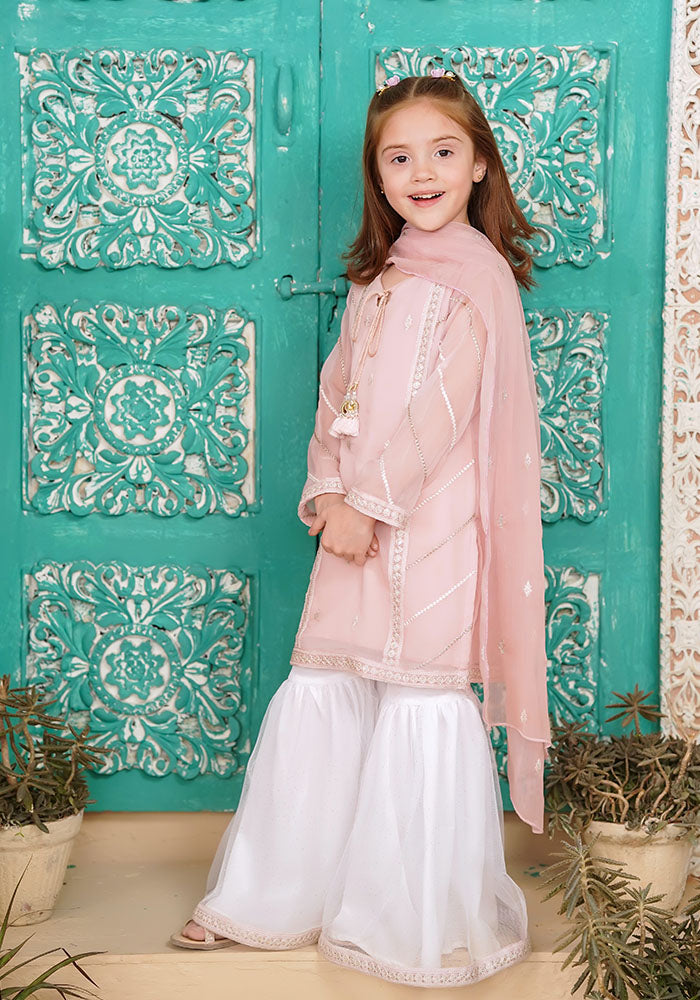 Chiffon Embroidered 3 Pc Suit - Wear Ochre