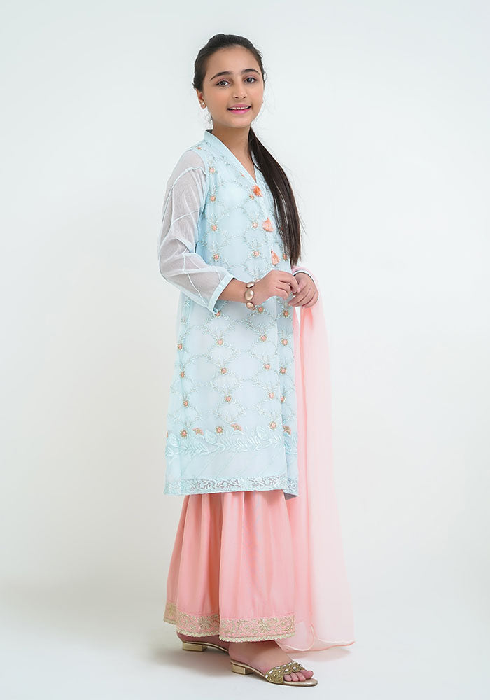 Chiffon Embroidered 3 Pc Suit - Wear Ochre