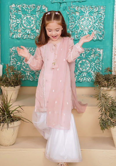 Chiffon Embroidered 3 Pc Suit