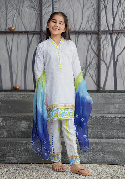 Chikan Kari Printed 3 Pc Suit