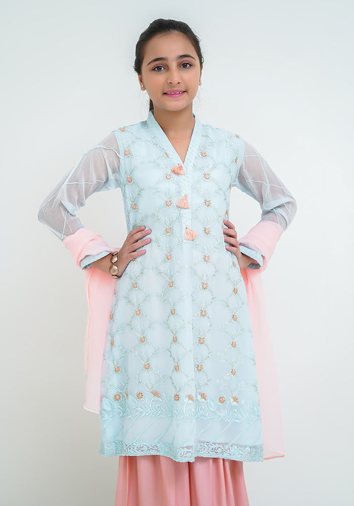 Chiffon Embroidered 3 Pc Suit - Wear Ochre
