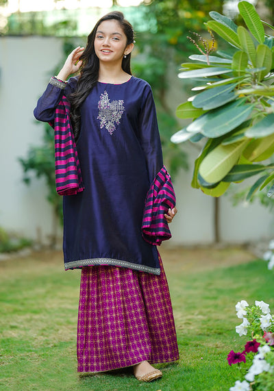 Cotton Net Hand Work 3 Pc Suit