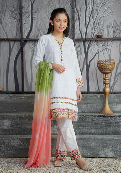 Chikan Kari Printed 3 Pc Suit