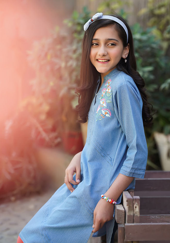 Denim Embroidered Kurta - Wear Ochre