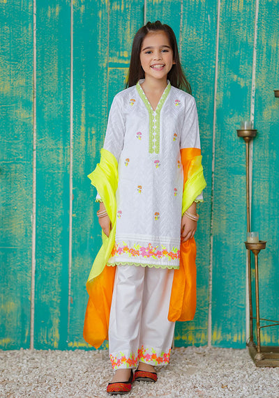 Chikan Kari Printed 3 Pc Suit