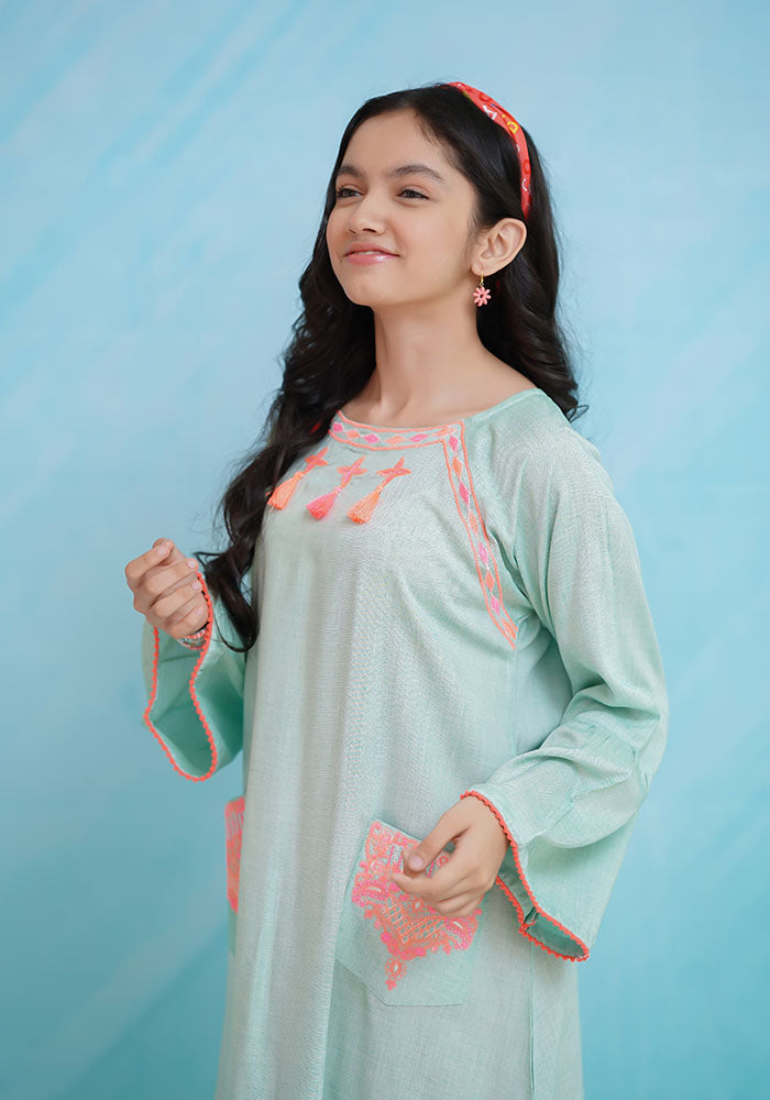 Chambray Cotton Embroidered Top - Wear Ochre