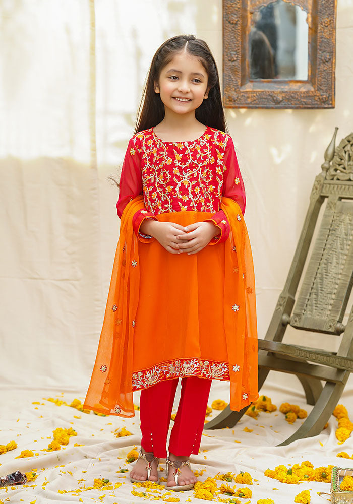 Chiffon Embroidered 3 Pc Suit - Wear Ochre