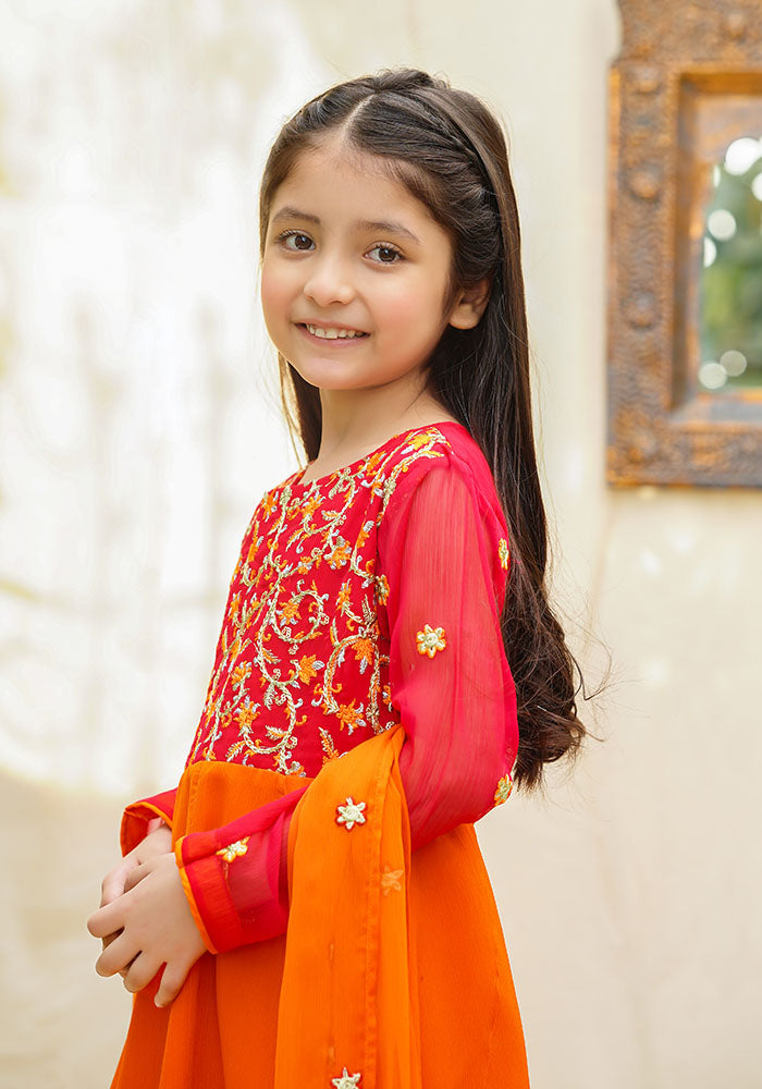 Chiffon Embroidered 3 Pc Suit - Wear Ochre