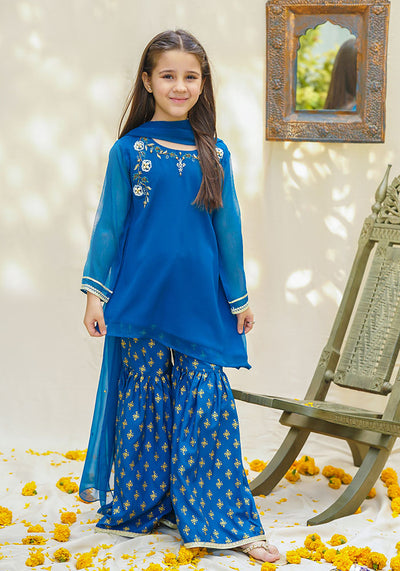 Chiffon Hand Work 3 Pc Suit