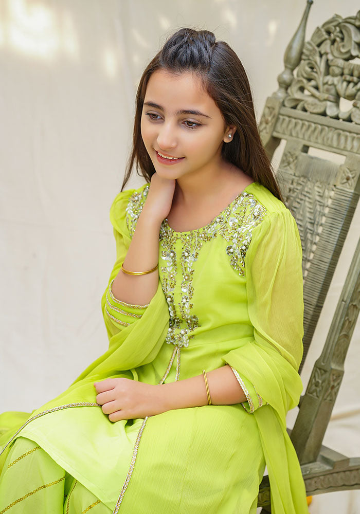 Chiffon Hand Work 3 Pc Suit - Wear Ochre