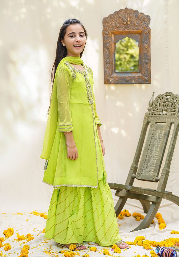 Chiffon Hand Work 3 Pc Suit - Wear Ochre