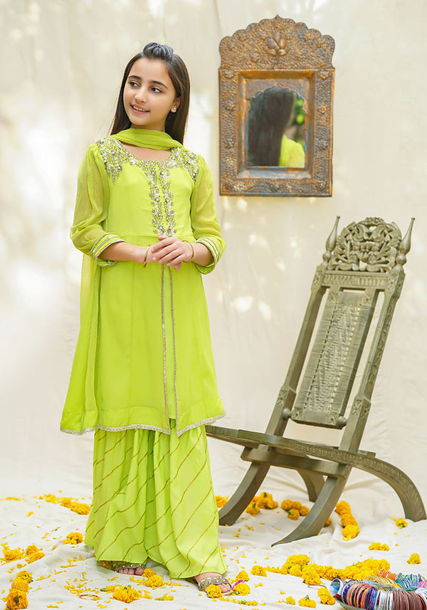 Chiffon Hand Work 3 Pc Suit