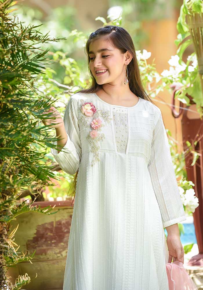 Net Embroidered 3 Pc Suit - Wear Ochre