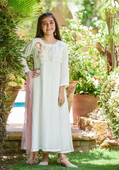 Net Embroidered 3 Pc Suit