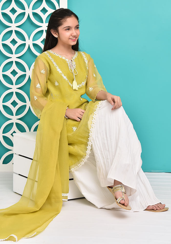 Chiffon Embroidered 3 Pc Suit - Wear Ochre