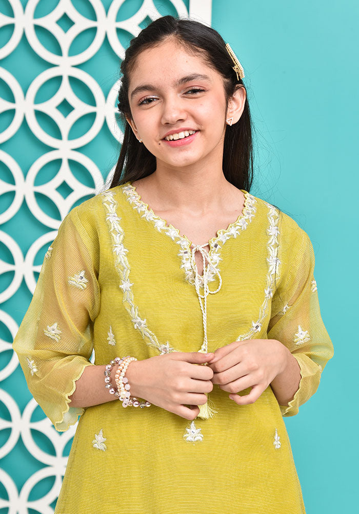 Chiffon Embroidered 3 Pc Suit - Wear Ochre