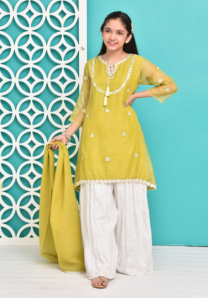 Chiffon Embroidered 3 Pc Suit - Wear Ochre