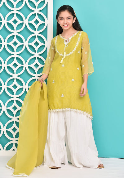 Chiffon Embroidered 3 Pc Suit