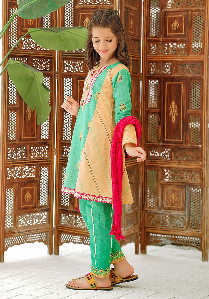Khaddar Embroidered 3 Pc Suit - Wear Ochre