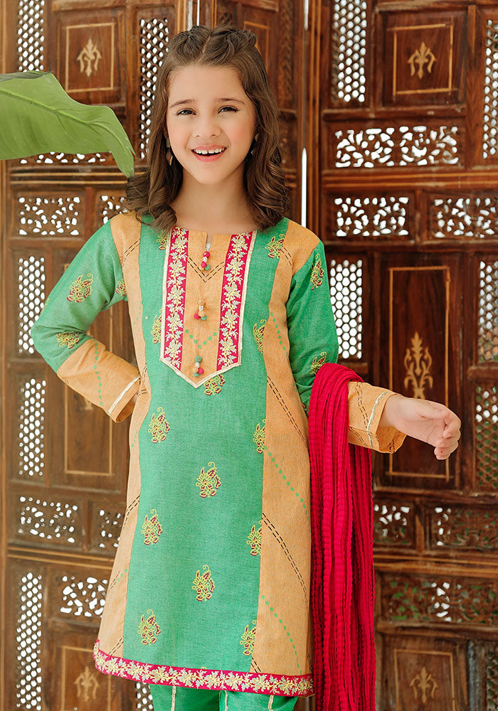 Khaddar Embroidered 3 Pc Suit - Wear Ochre