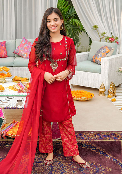 Chiffon Hand Adda Work 3 Pc Suit