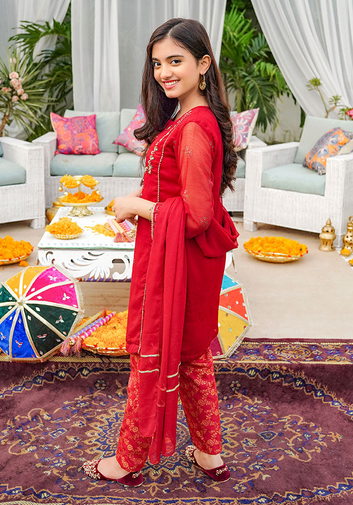 Chiffon Hand Adda Work 3 Pc Suit - Wear Ochre