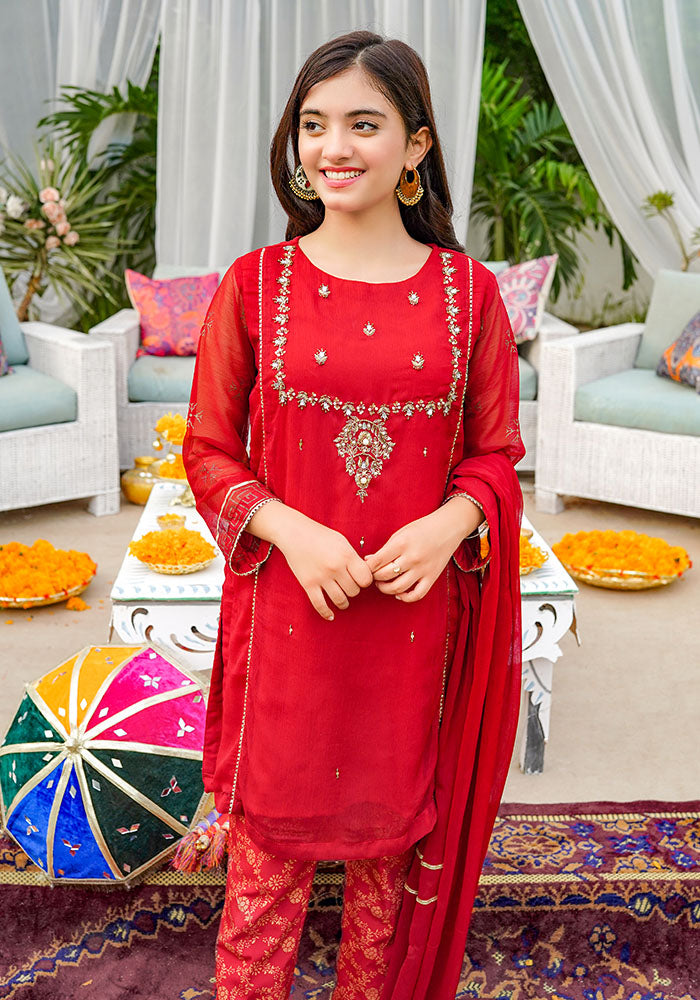 Chiffon Hand Adda Work 3 Pc Suit - Wear Ochre