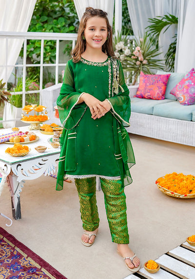 Chiffon Hand Adda Work 3 Pc Suit