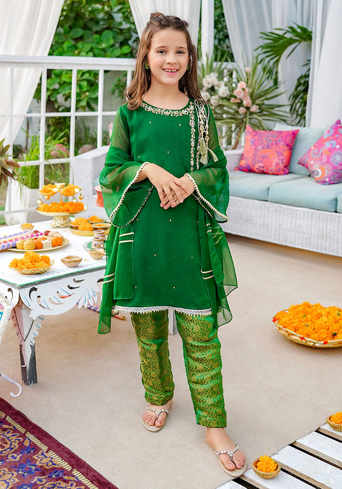 Chiffon Hand Adda Work 3 Pc Suit - Wear Ochre