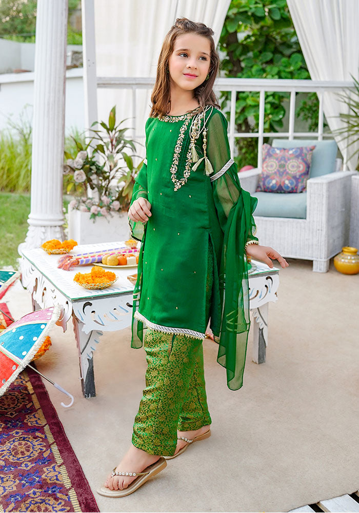 Chiffon Hand Adda Work 3 Pc Suit - Wear Ochre