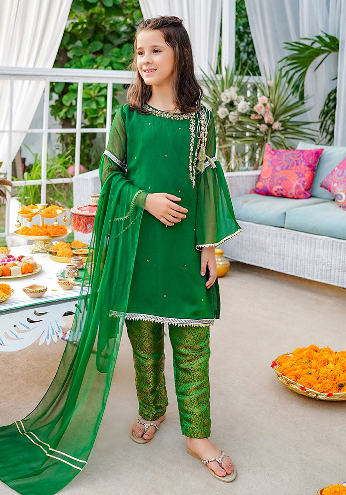 Chiffon Hand Adda Work 3 Pc Suit - Wear Ochre