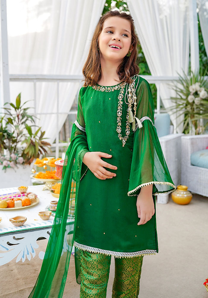 Chiffon Hand Adda Work 3 Pc Suit - Wear Ochre