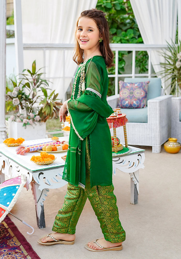 Chiffon Hand Adda Work 3 Pc Suit - Wear Ochre
