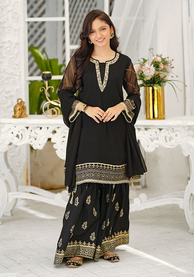 Chiffon Hand Adda Work 3 Pc Suit