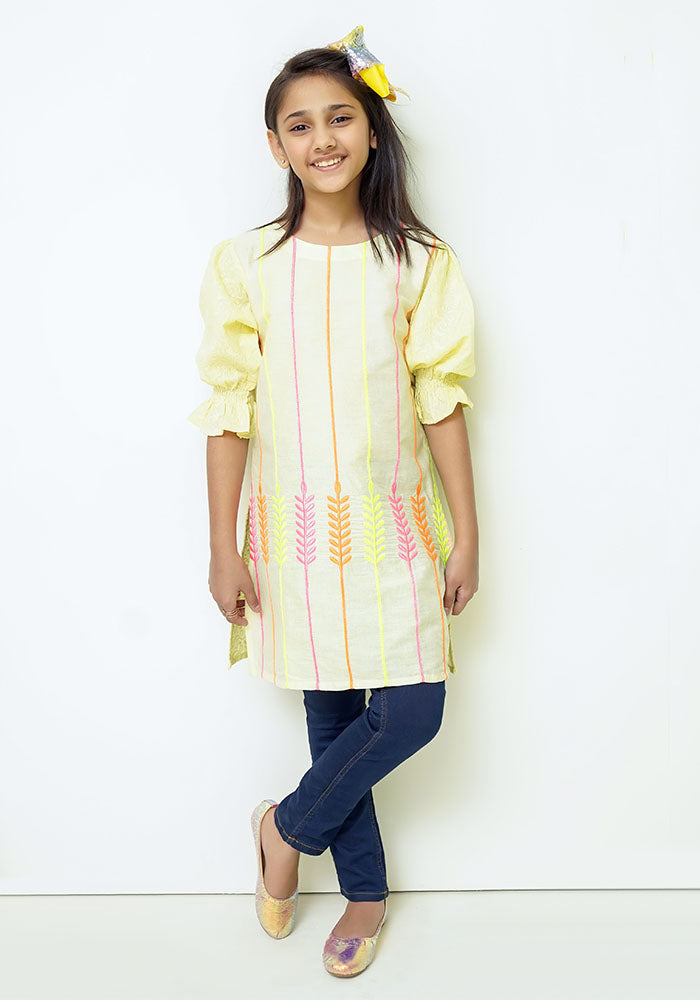 Chikankari Embroidered Kurta - Wear Ochre