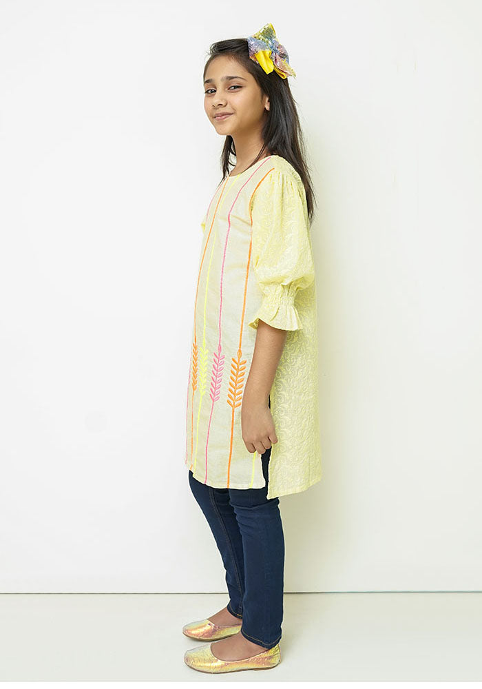 Chikankari Embroidered Kurta - Wear Ochre